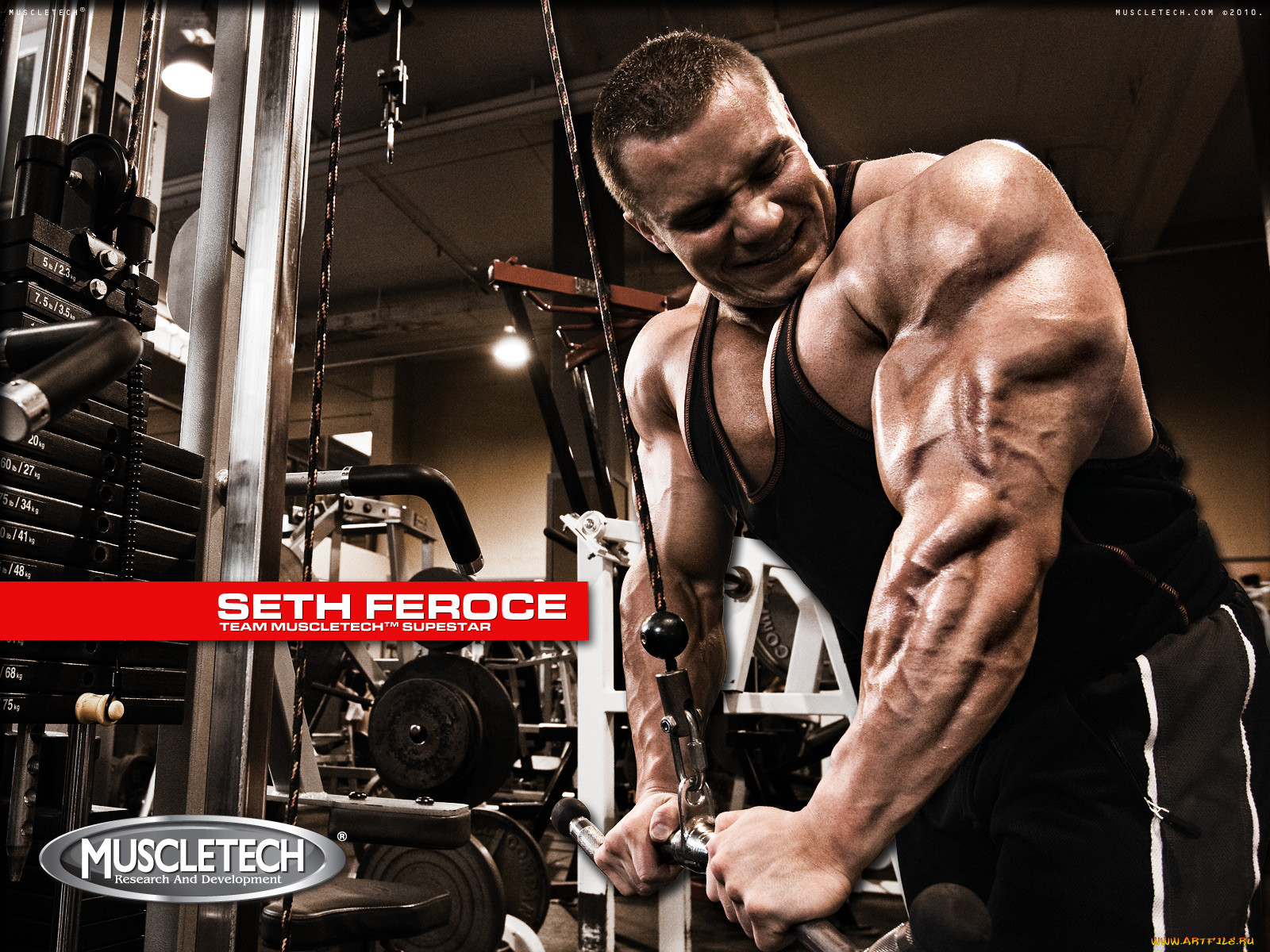 muscletech, , seth, feroce